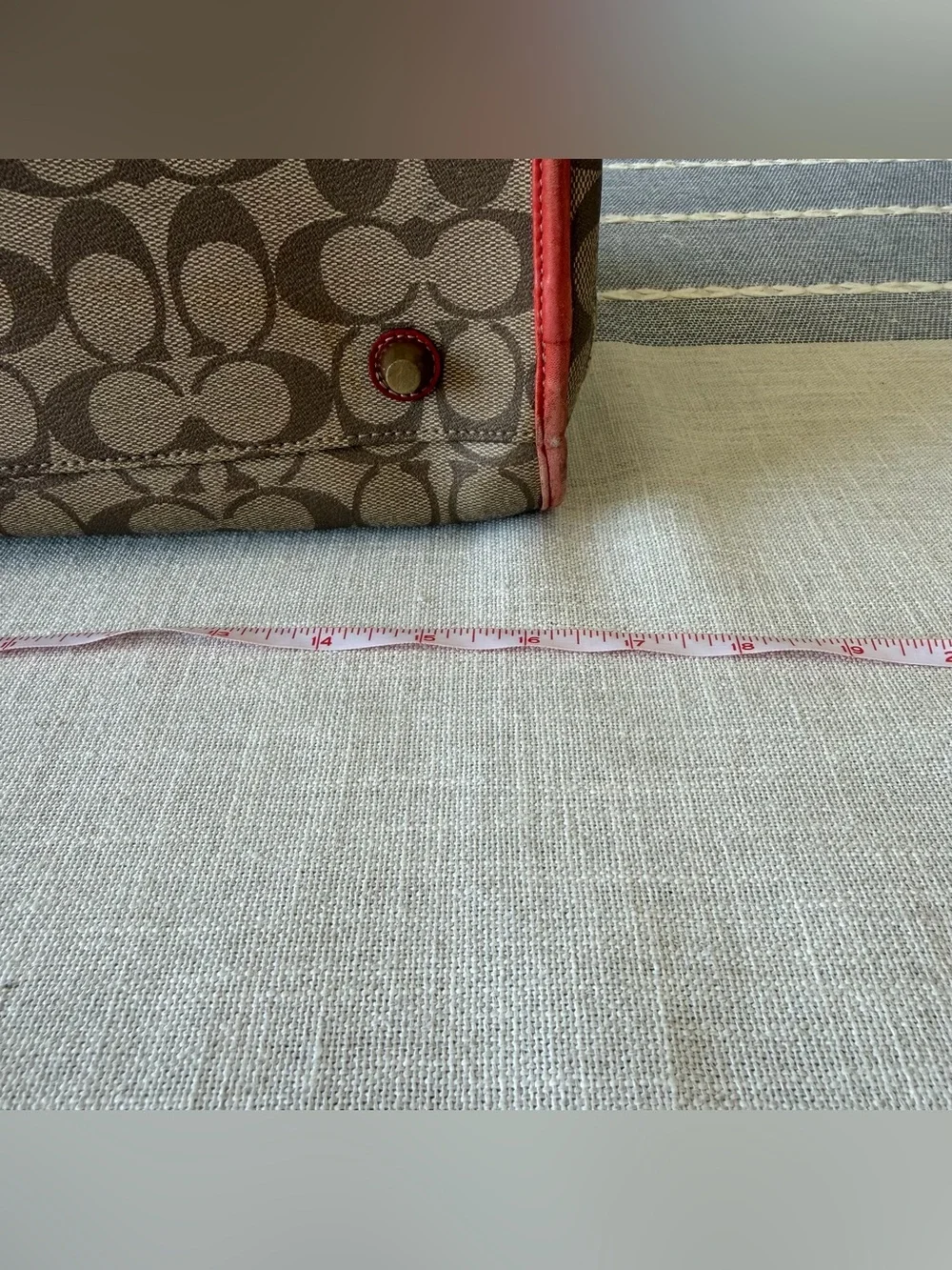 Rare Coach Heritage Stripe Pet Carrier Dog Purse Old Money Luxury Travel Orange